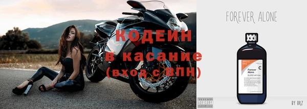 крисы Козельск