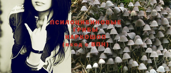 не бодяженный Алзамай